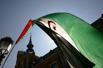 Koacinaute Maroc: La honte pour les responsables algéro-polisariens